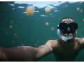 畅游海底旅行短片《水母之家》 (2播放)